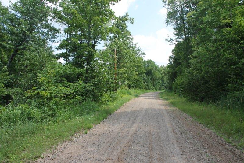 New York Land Bordering State Land with Trout Stream 100 Acres NY