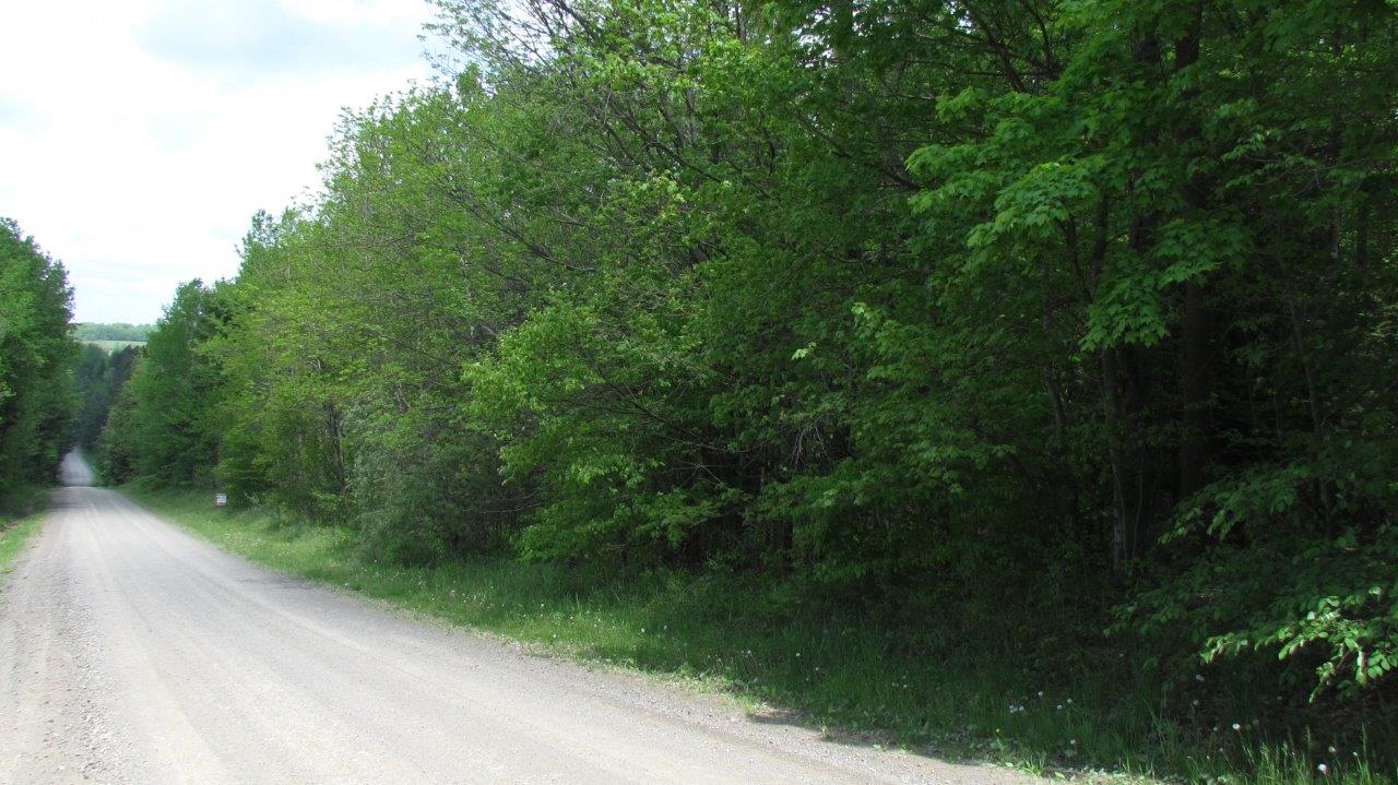 Land in Coventry NY bordering State Forest on 3 Sides 35 Acres NY