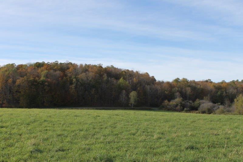 Country Acreage with Utilities to Build Your New Home NY LandQuest