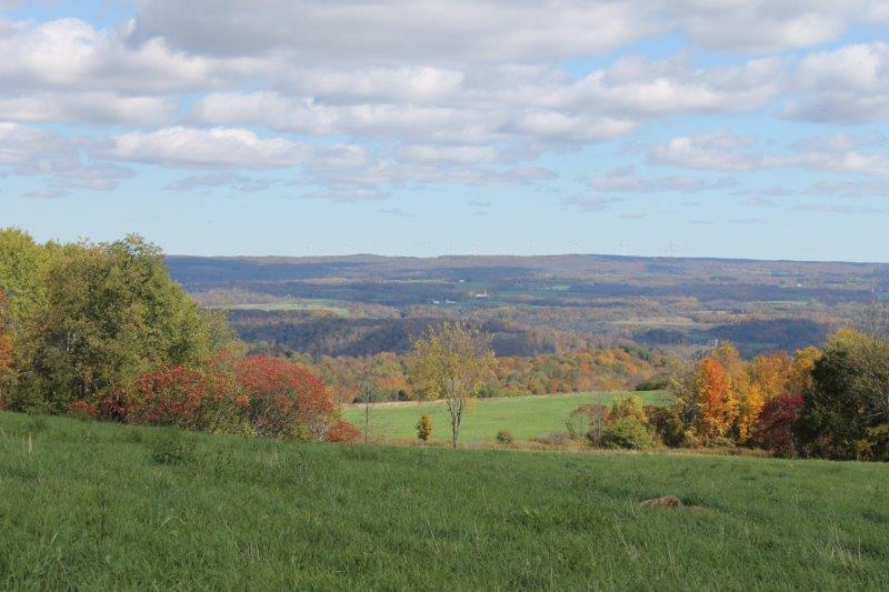 Farmland in Adirondack Foothills with Views NY LandQuest NY LandQuest