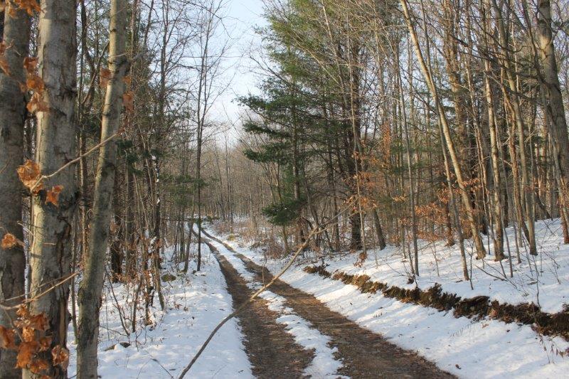 19 acres along Tug Hill Trails and Close to Salmon River! NY
