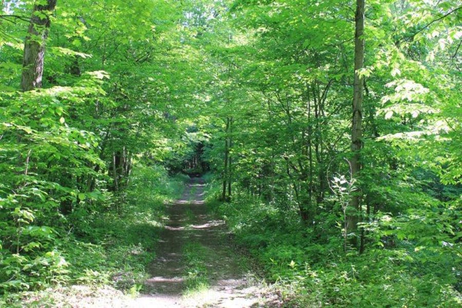 7 acres Secluded Woodlands in Tug Hill NY LandQuest NY LandQuest
