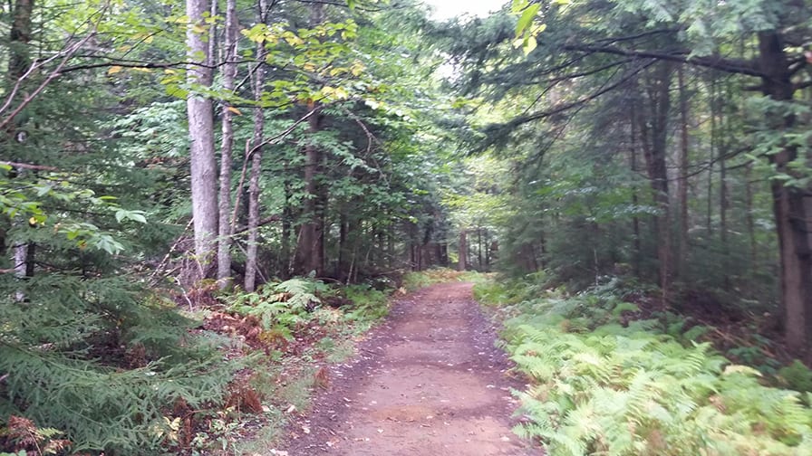 New York Land near Adirondacks Private Woods NY LandQuest NY LandQuest