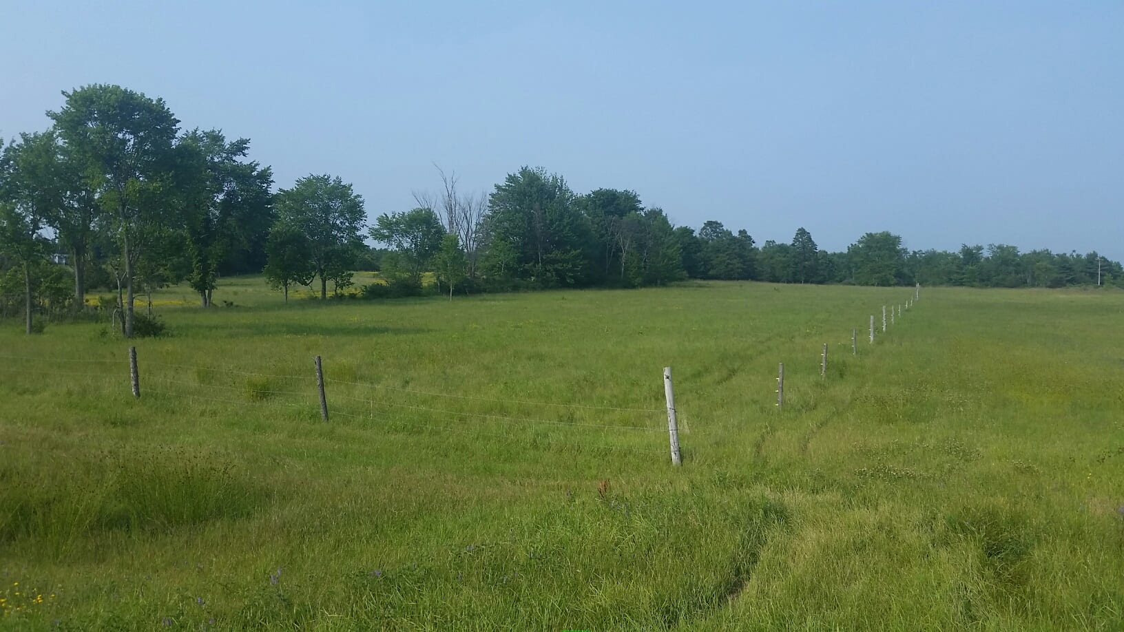 Farmland in Jefferson County NY with Unlimited Options and