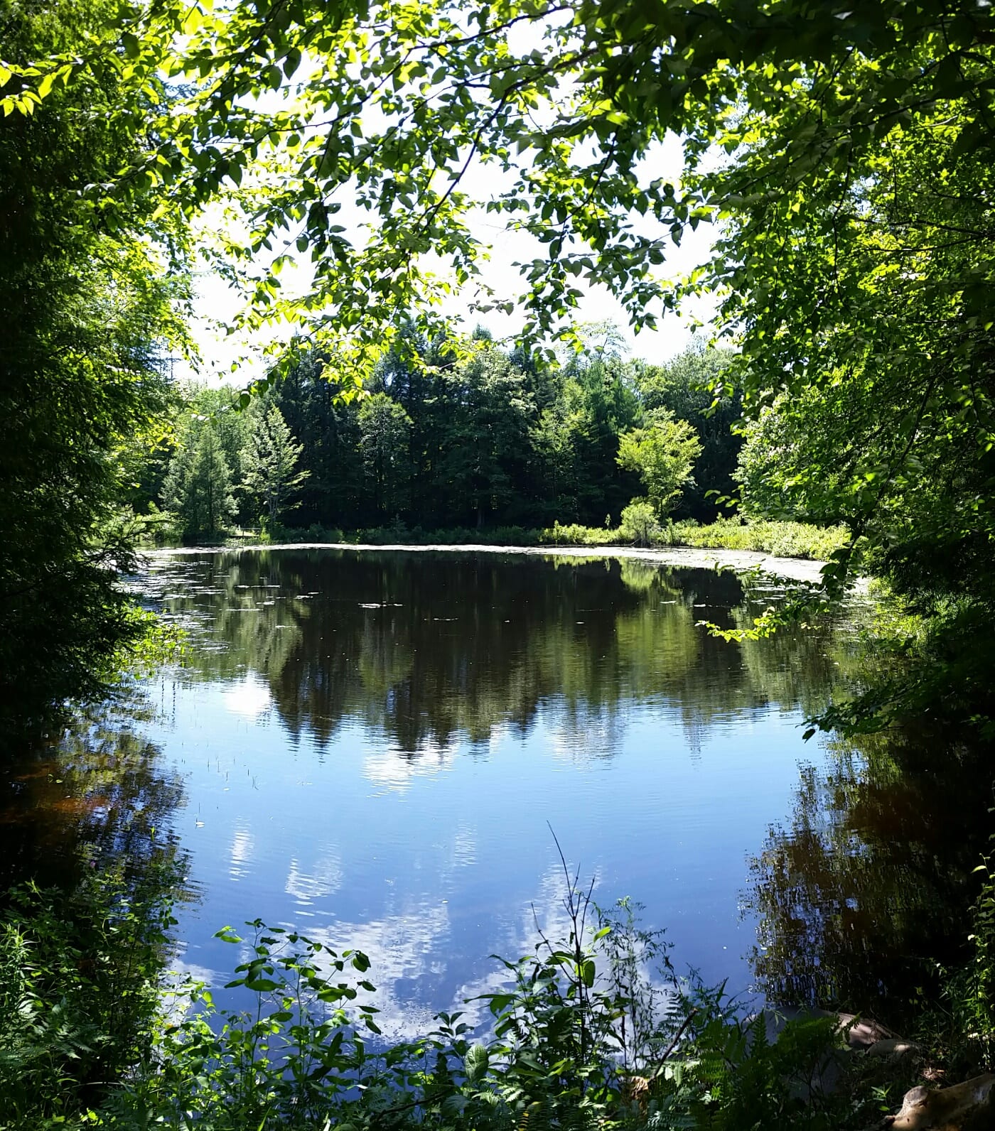 Building Lot in Parish NY with Lake Access NY LandQuest NY LandQuest