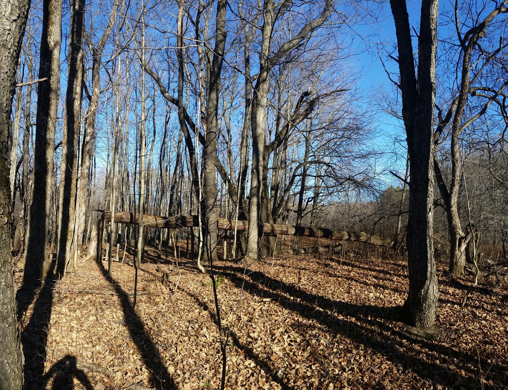 Recreational Land in Lorraine NY 28 Acres NY LandQuest NY LandQuest