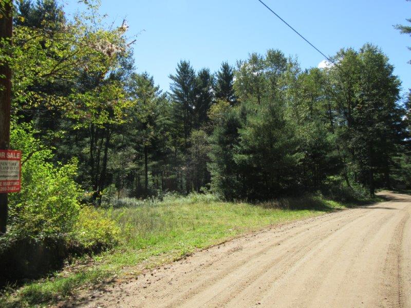 46 acres in the Adirondack Park NY with Cleared Building Site and Owner