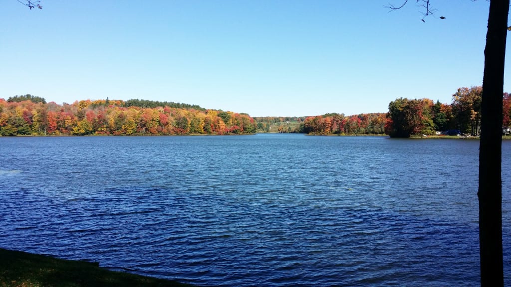 Waterfront Lot with Camper Trailer and Building on a Private Lake in