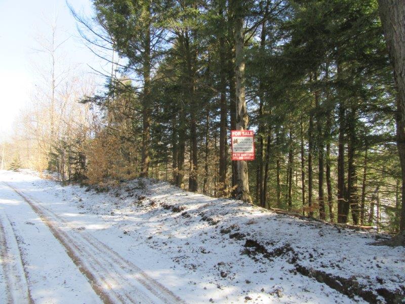 12 acres Waterfront Land on Effley Falls Reservoir in Croghan NY NY