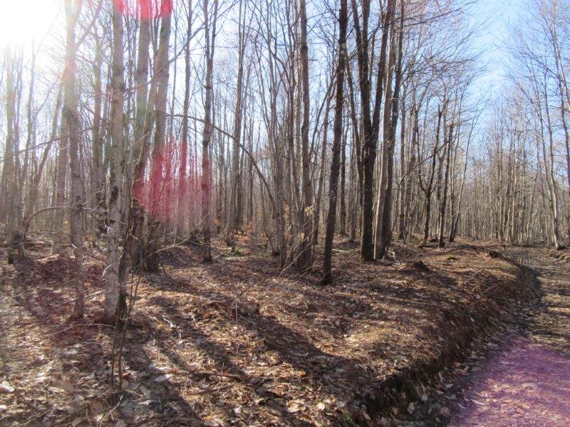 100 acres in Osceola NY in the Tug Hill Region near Redfield Reservoir