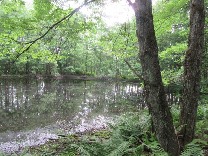 83 acres in Williamstown NY bordering State Land near Redfield