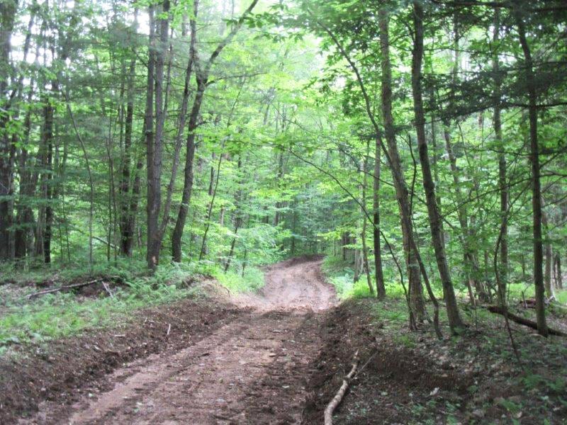 83 acres in Williamstown NY bordering State Land near Redfield