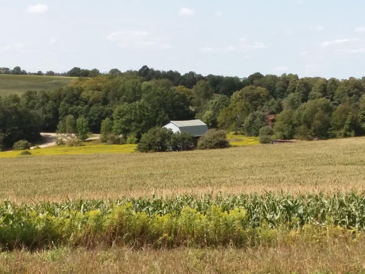 108 acres Farmland and Timberland with Barn in Avoca NY 9745 Olmstead