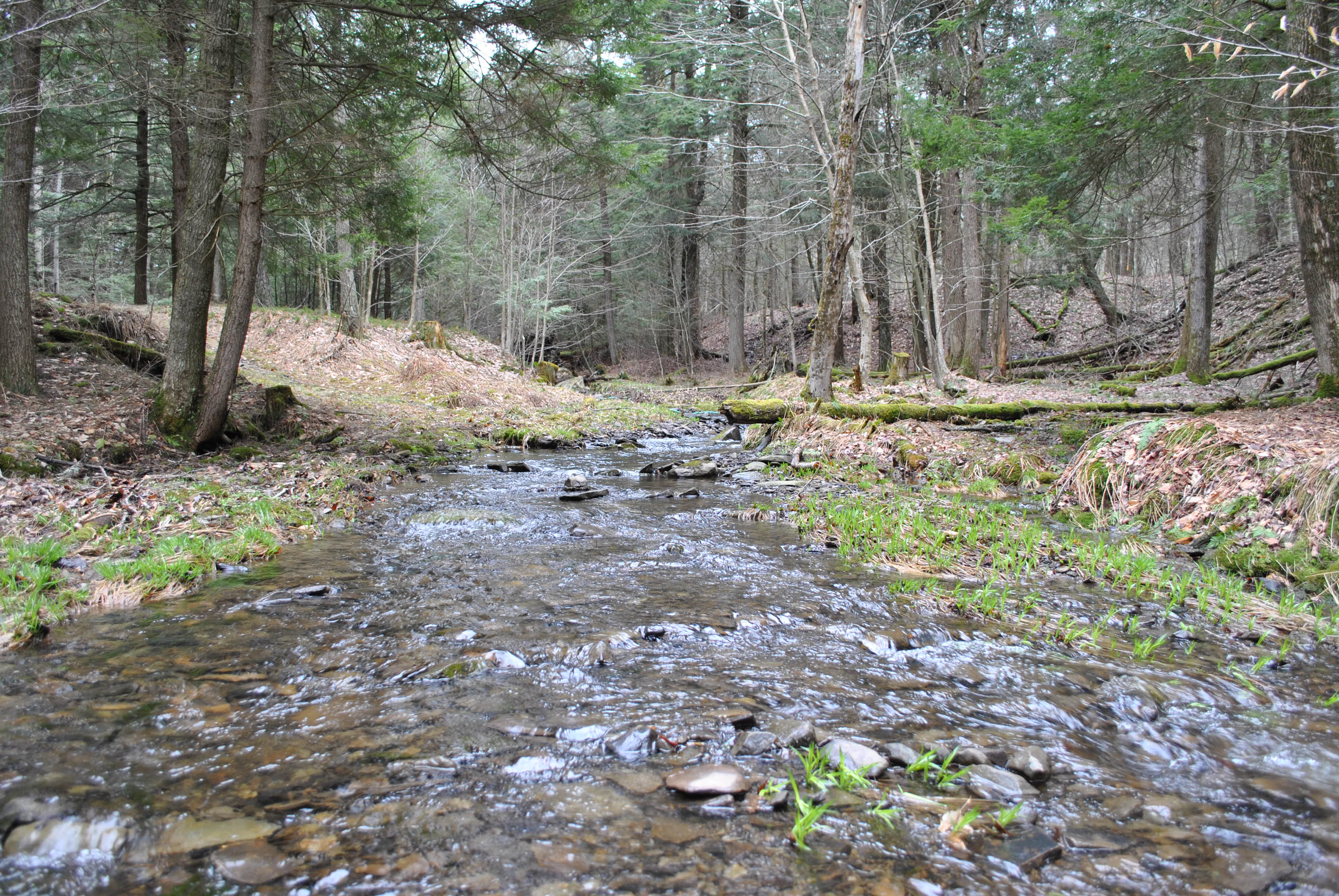 25 acres with Large Garage in Masonville NY near Beals Pond State