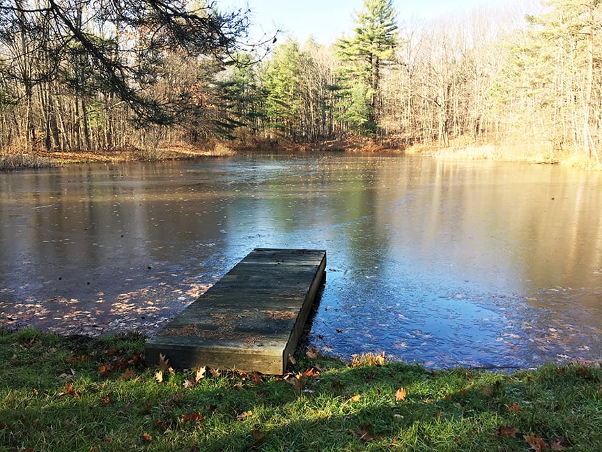 3 acres Cabin with Stocked Pond in Belfast NY Secluded Camp NY