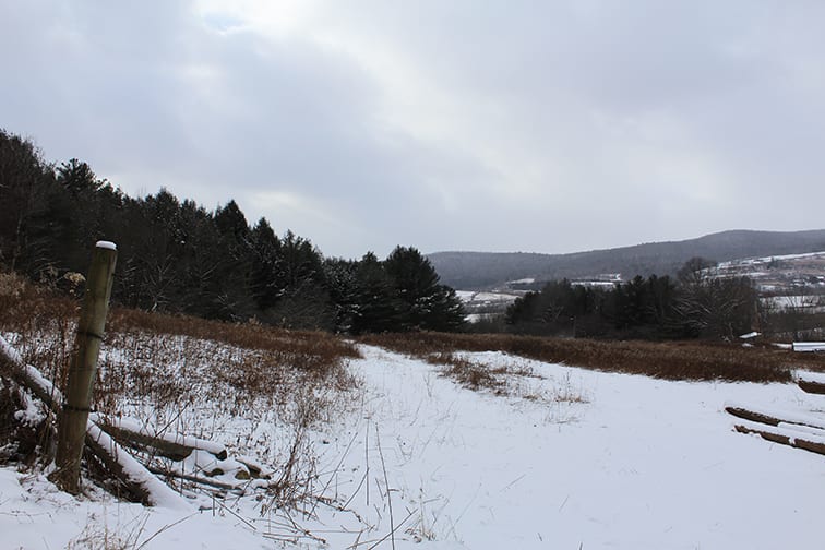 4 acres Building Lot in Pittsfield NY with Owner Financing NY