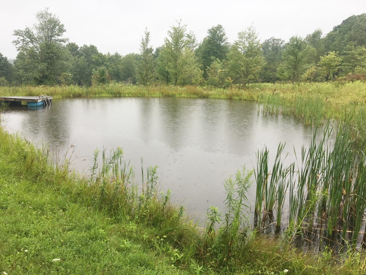10 acres with Pond in Alfred NY Hess Road NY LandQuest NY LandQuest