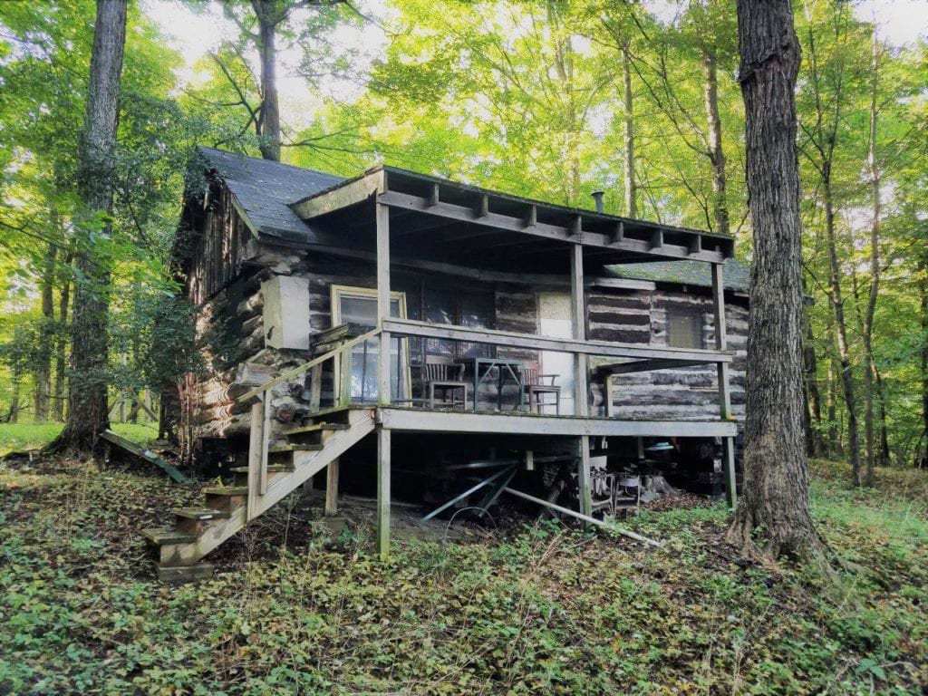 20 acres Log Cabin in Almond NY bordering Bully Hill State Forest NY