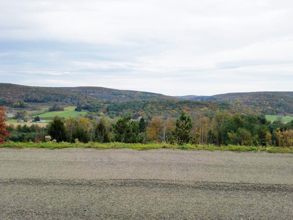 224 acres Timberland and Hunting Land in Lindley NY Mersereau Lane NY