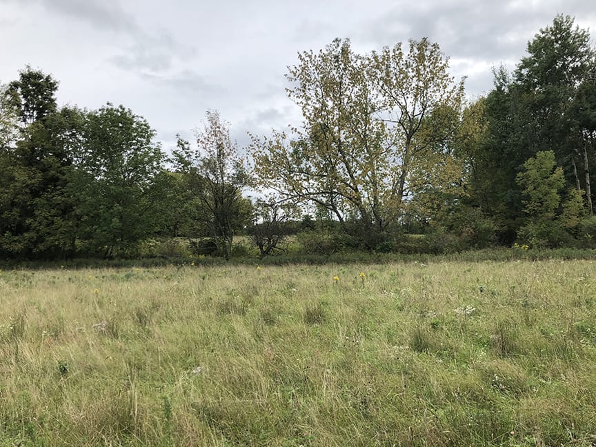 34 acres Tillable Farmland and Woodlands in Guilford NY County Road 36