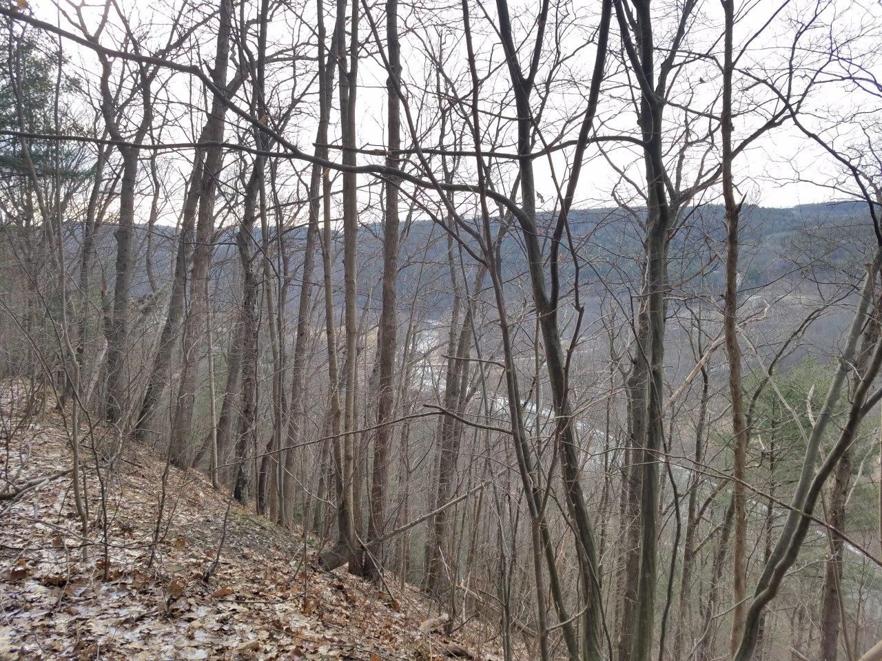 19 acres Timberland in Rathbone NY with Great Views NY LandQuest NY