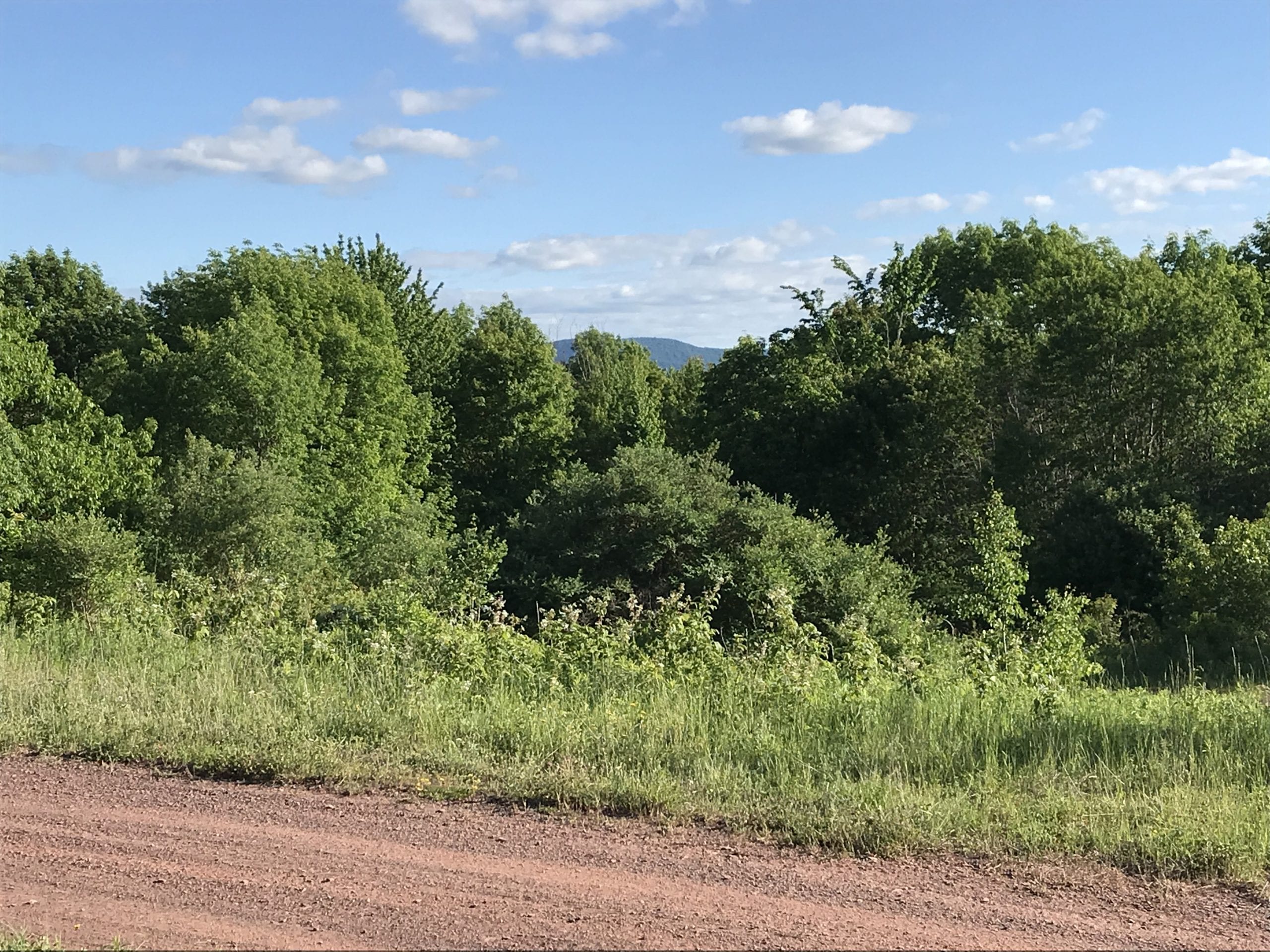 5 acres with Catskill Mountain Views in Stamford NY Castle Mountain