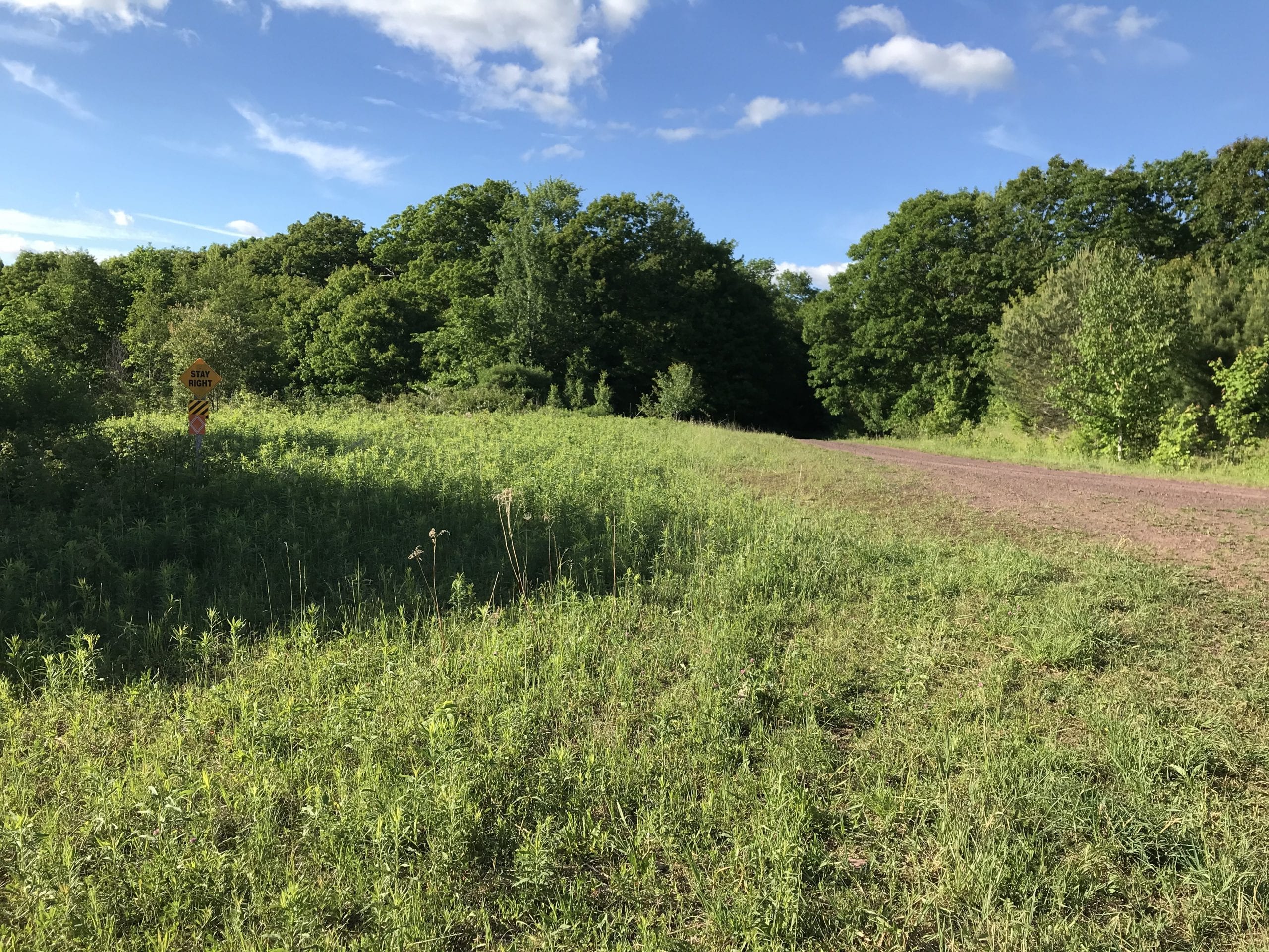 5 acres with Catskill Mountain Views in Stamford NY Castle Mountain