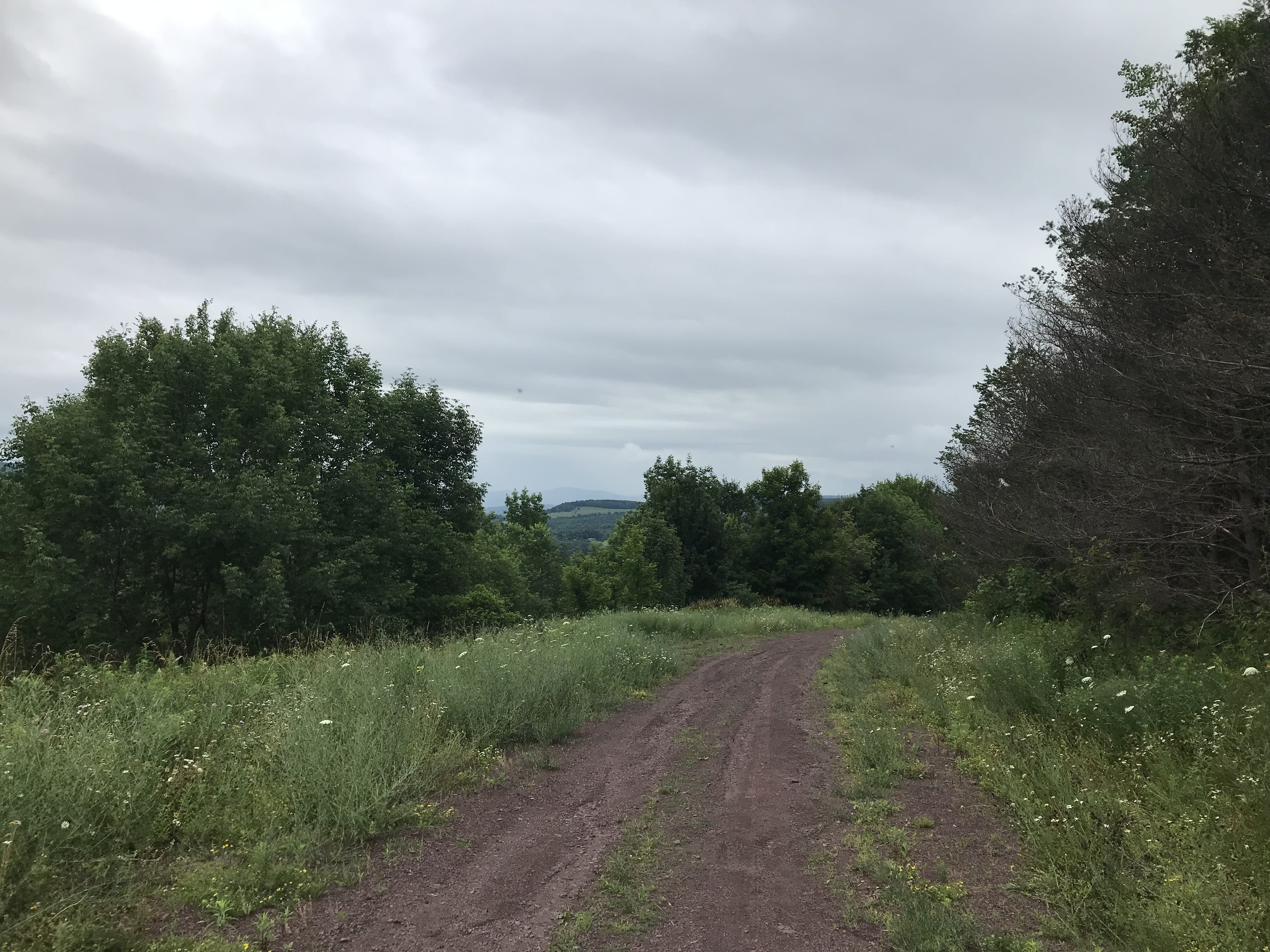 5 acres with Catskill Mountain Views in Stamford NY Castle Mountain