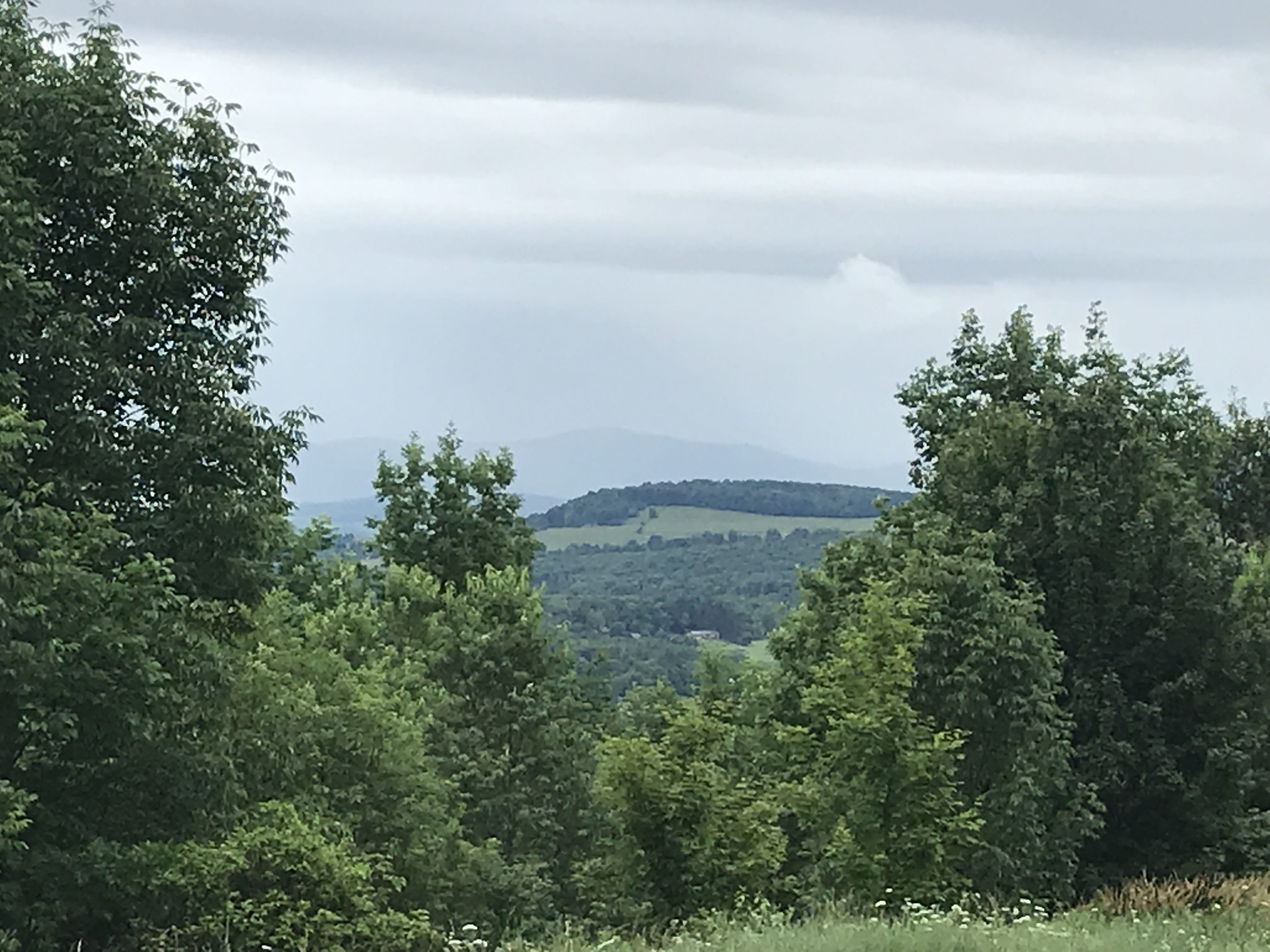5 acres with Catskill Mountain Views in Stamford NY Castle Mountain