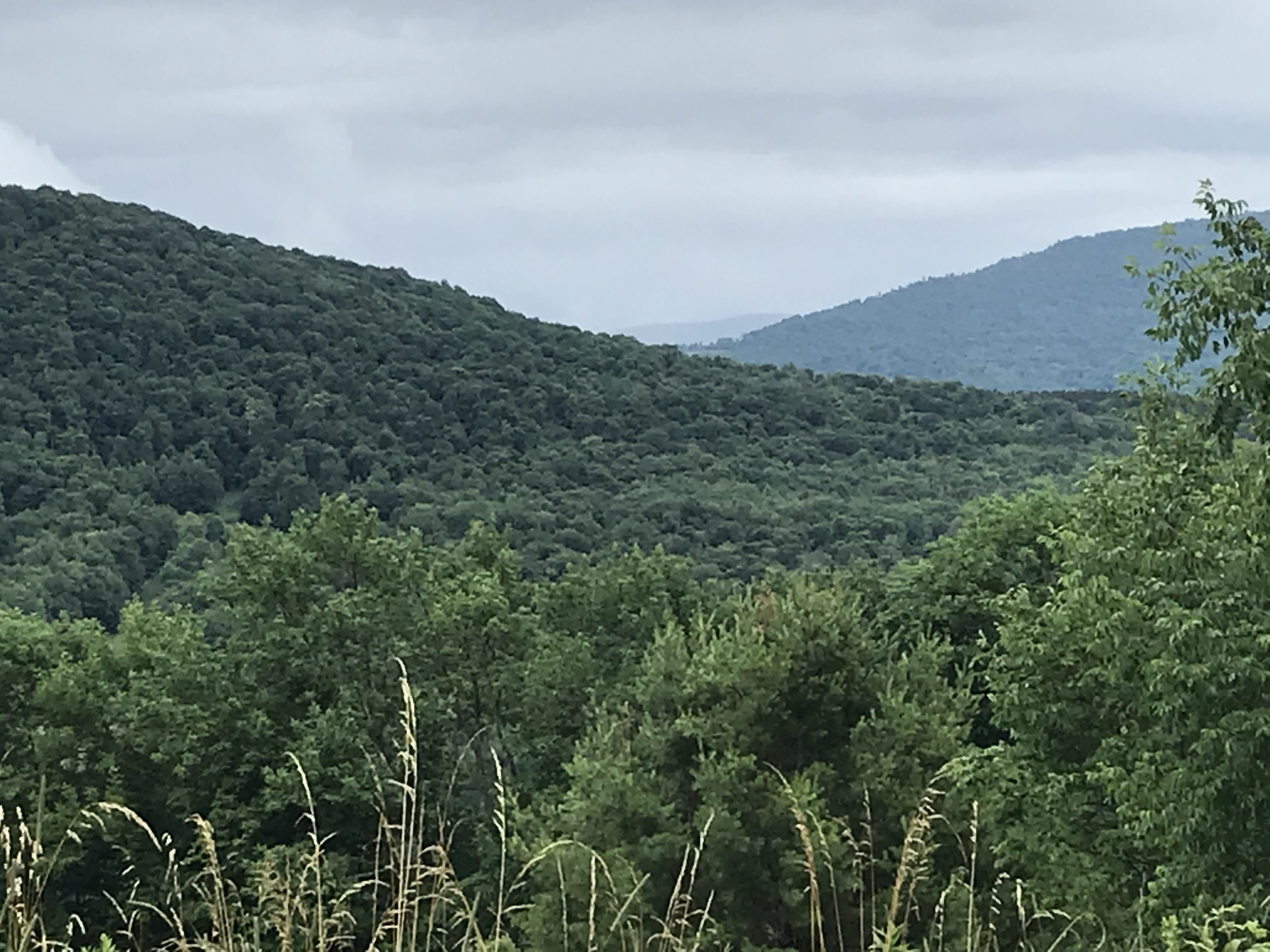 5 acres with Catskill Mountain Views in Stamford NY Castle Mountain