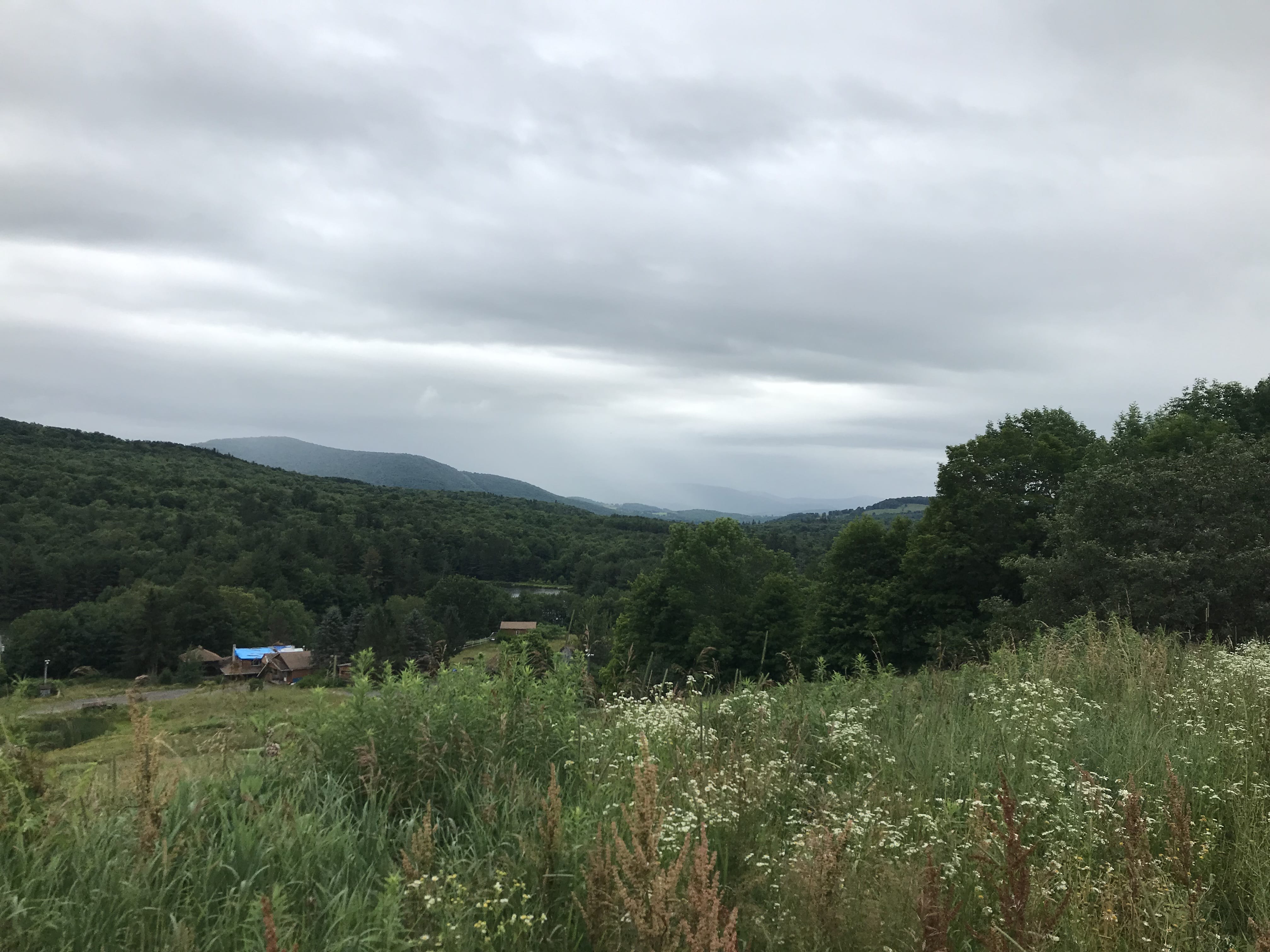 5 acres with Catskill Mountain Views in Stamford NY Castle Mountain
