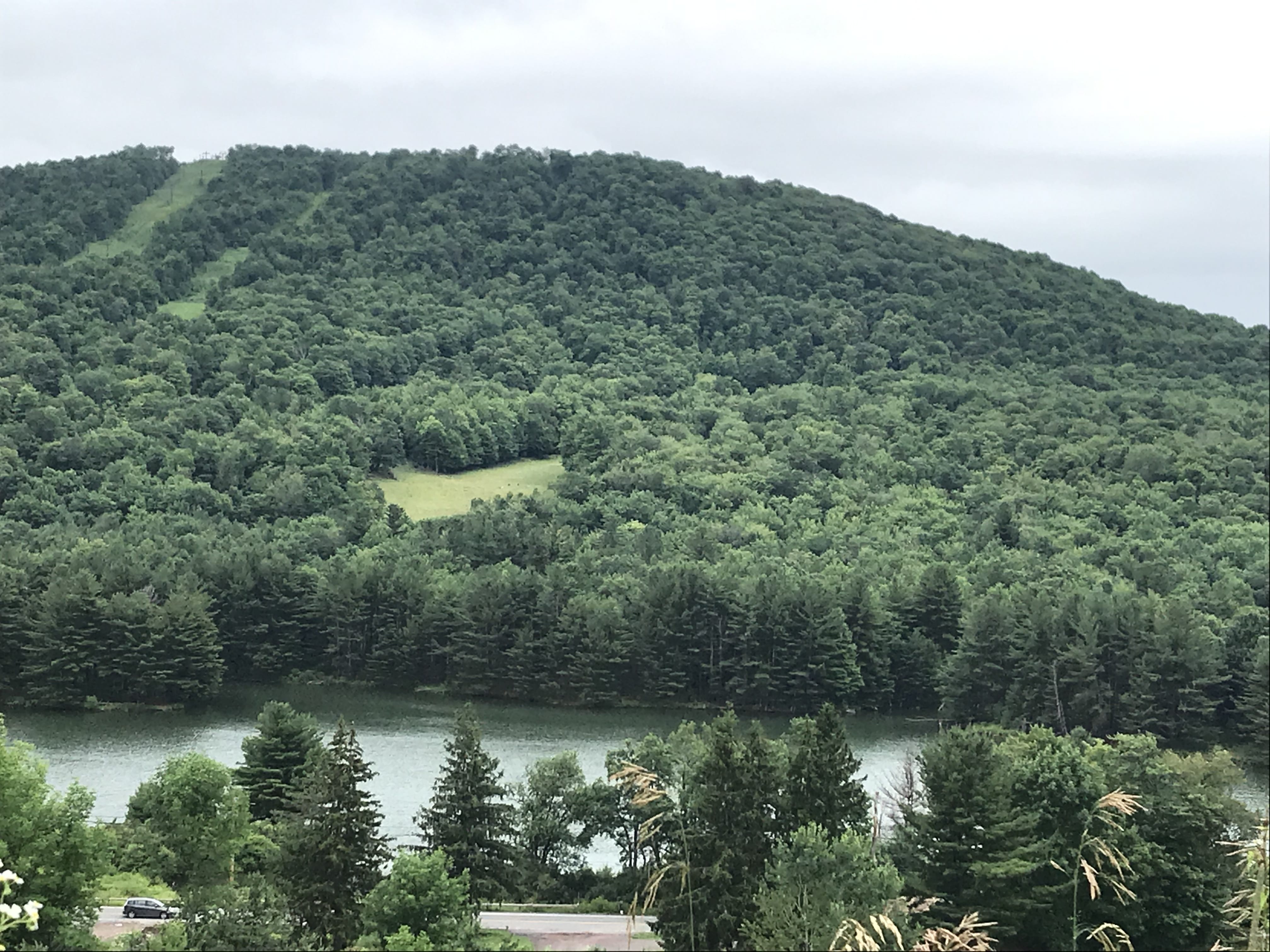 5 acres with Catskill Mountain Views in Stamford NY Castle Mountain