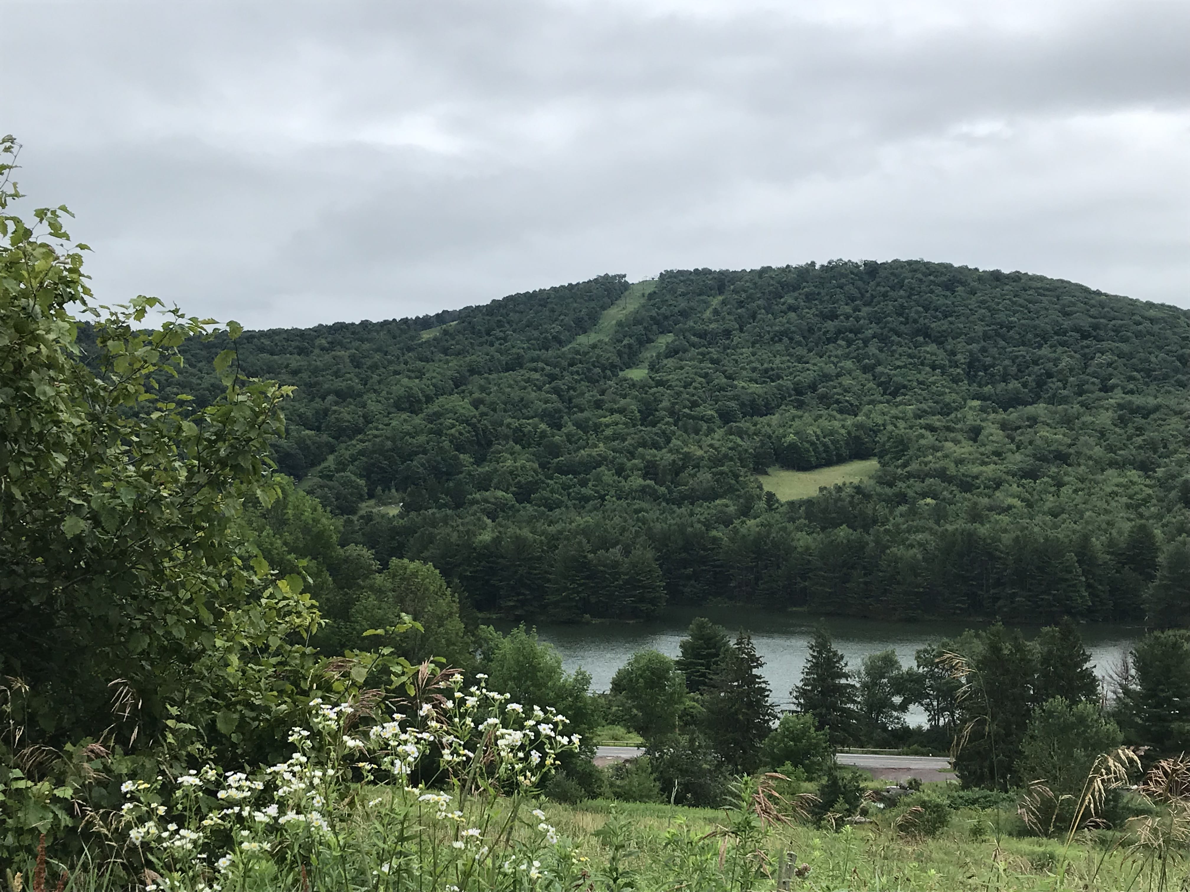 5 acres with Catskill Mountain Views in Stamford NY Castle Mountain