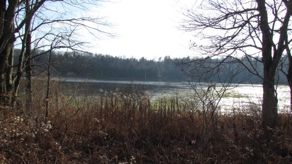 40 acres Waterfront Land on Cincinnatus Lake in Willet NY Route 41 NY