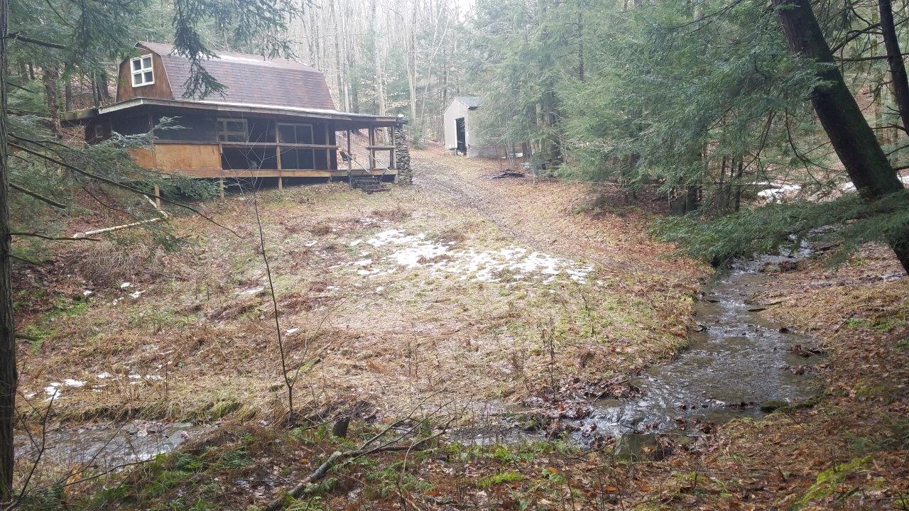 6 acres Cabin overlooking Creek in Cohocton NY 9010 Akins Road NY