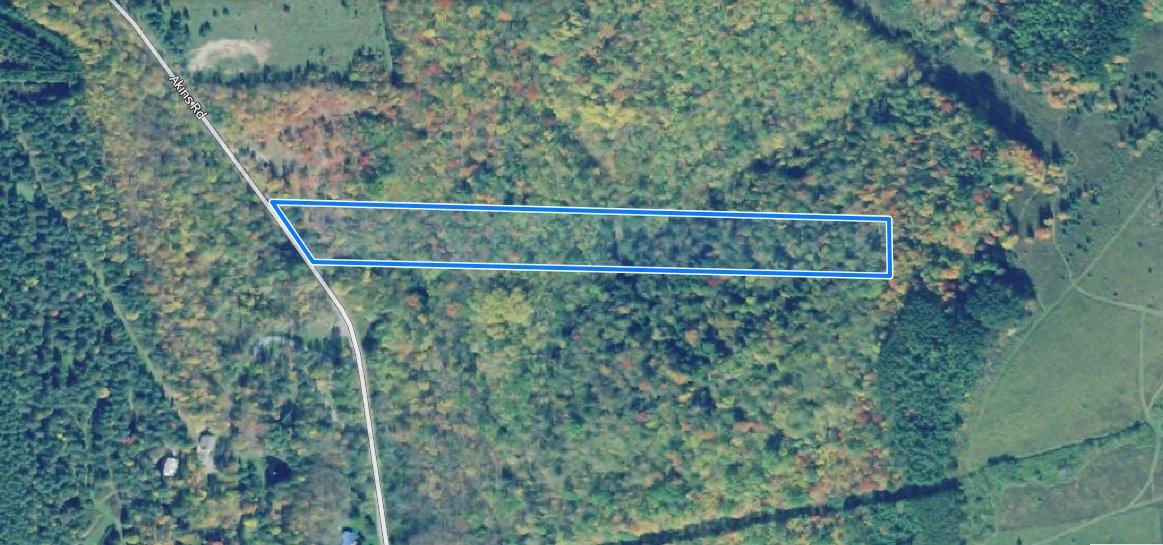 6 acres Cabin overlooking Creek in Cohocton NY 9010 Akins Road NY