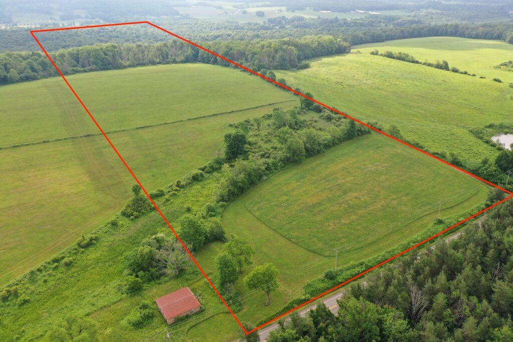 31 acres Farmland and Hunting Land with Mature Timber in Clymer NY Mann