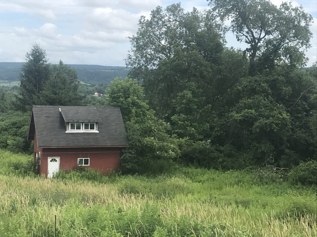 8 acres Building Lot with Camp in Fabius NY 1431 Ridge Road near