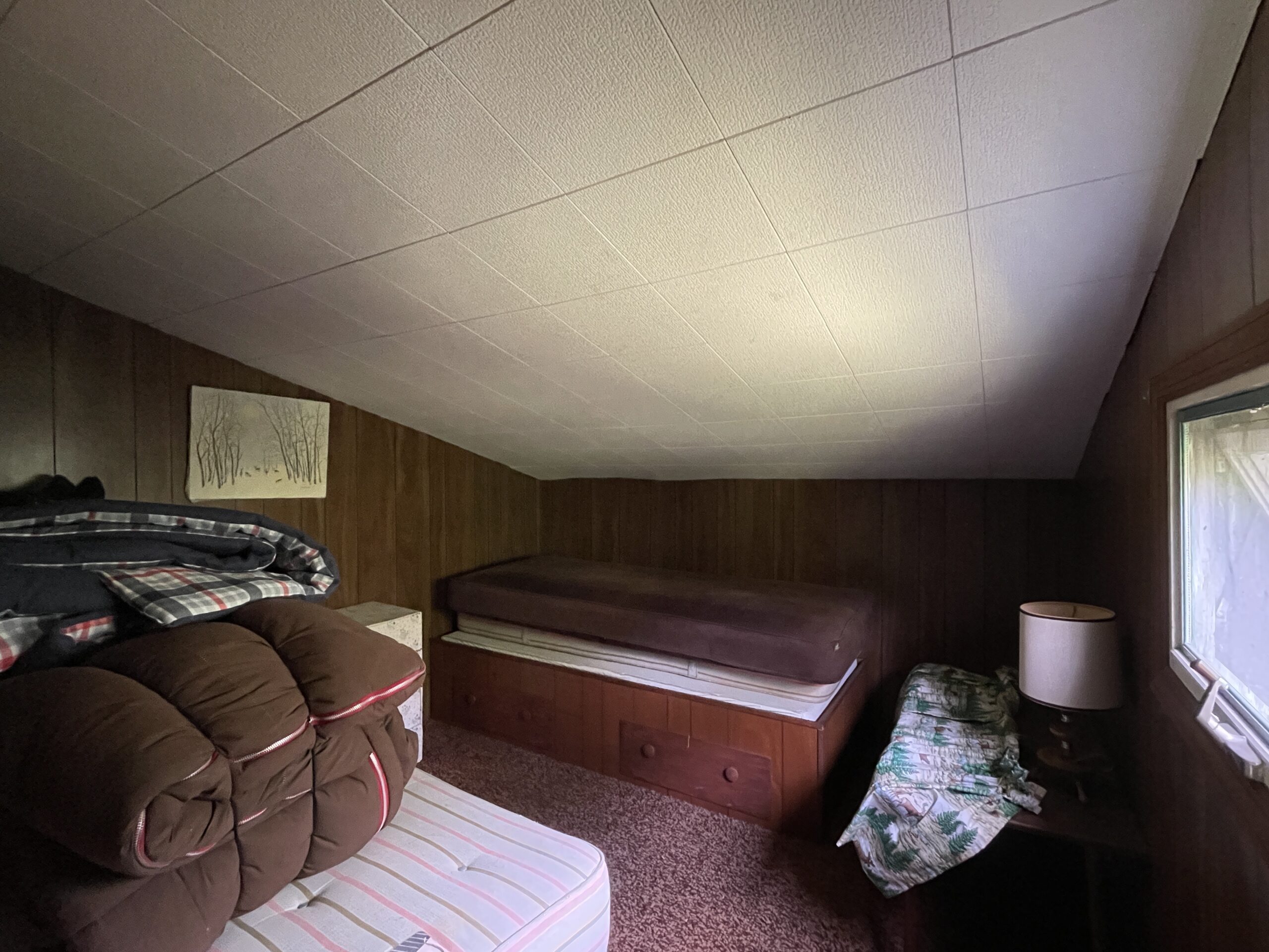 Cabin on 5 acres in Birdsall NY 3346 Old York Drive borders County Land NY LandQuest NY