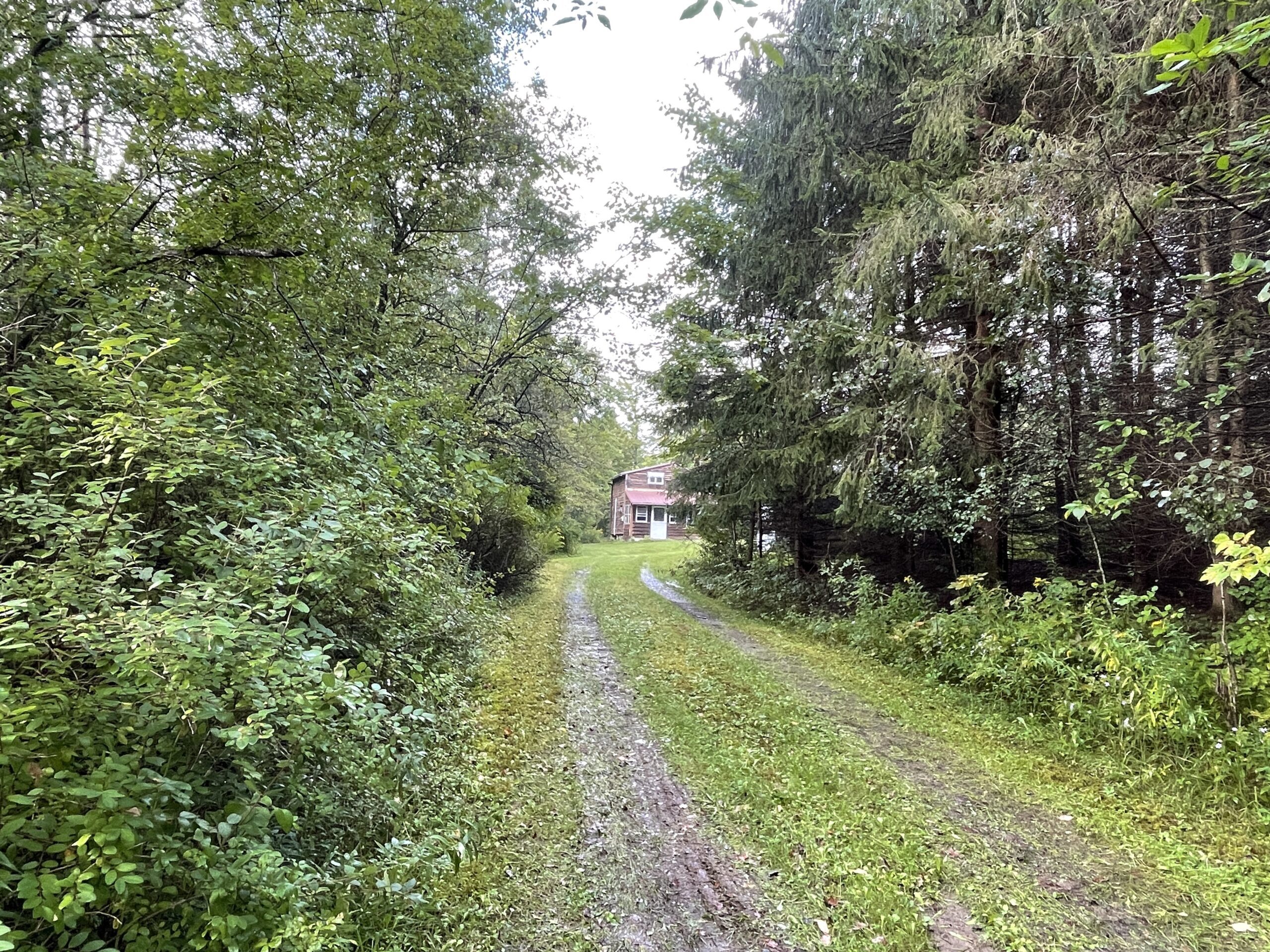 Cabin on 5 acres in Birdsall NY 3346 Old York Drive borders County Land NY LandQuest NY