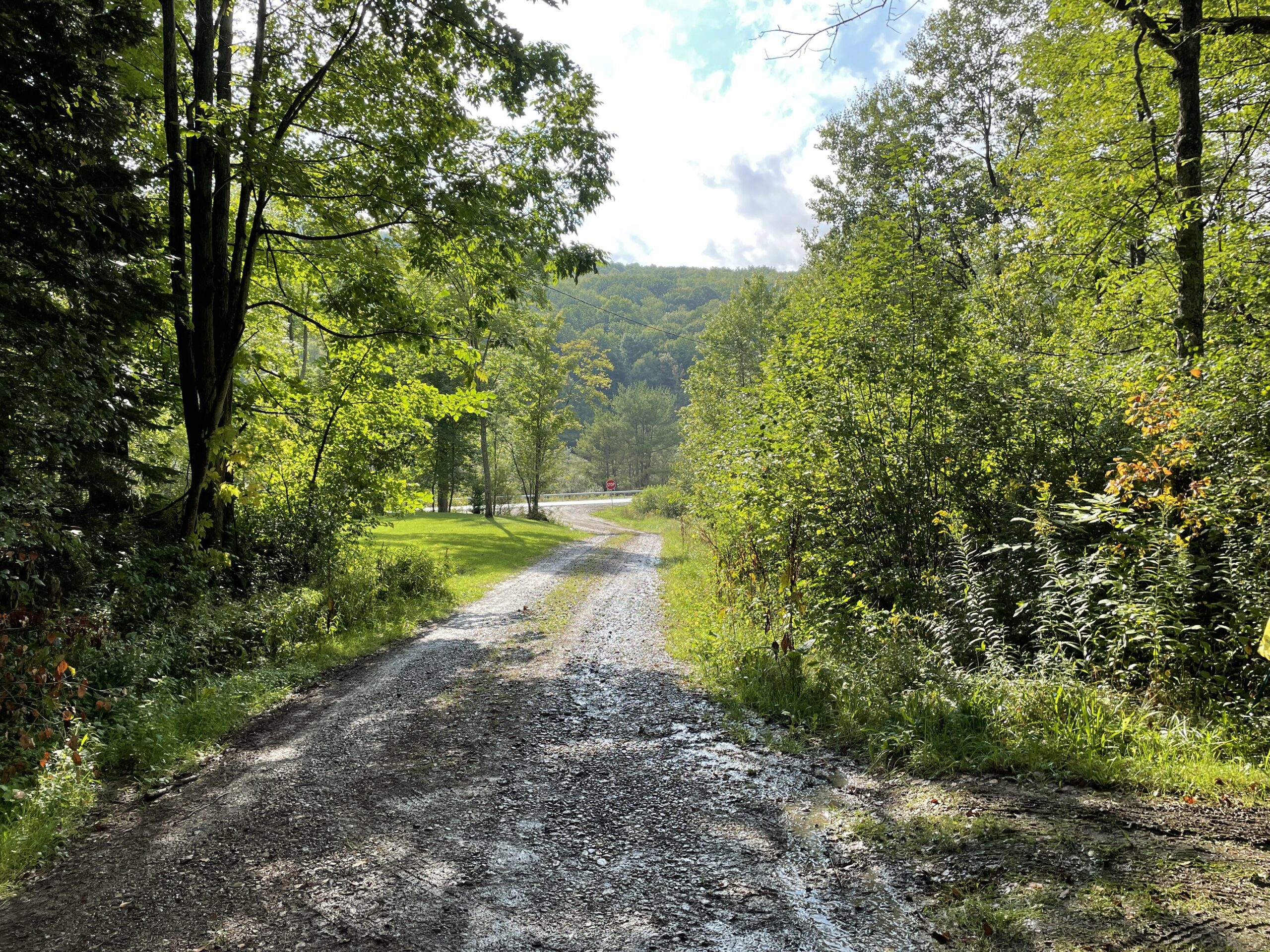 Cabin on 5 acres in Birdsall NY 3346 Old York Drive borders County Land NY LandQuest NY