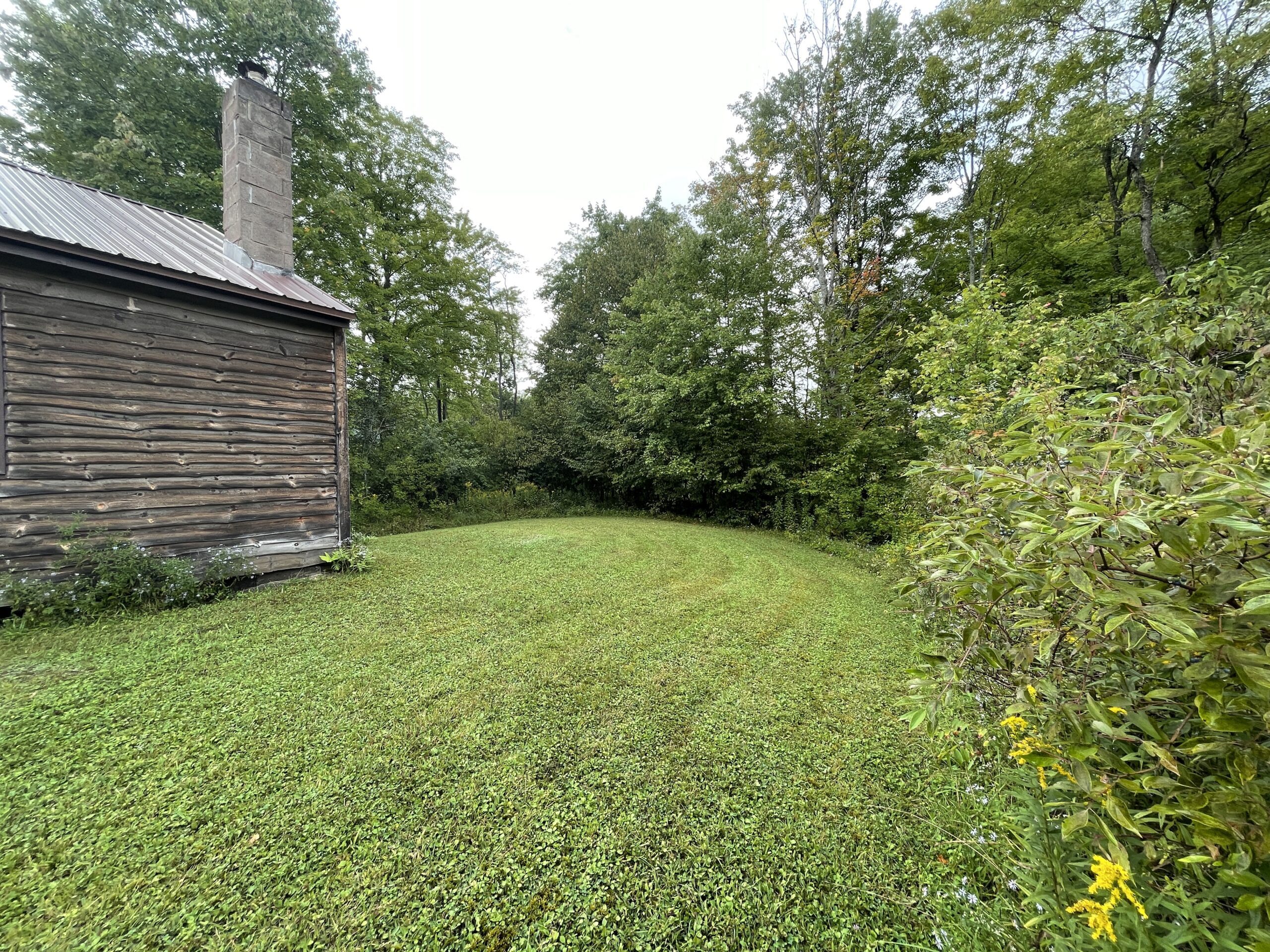 Cabin on 5 acres in Birdsall NY 3346 Old York Drive borders County Land NY LandQuest NY