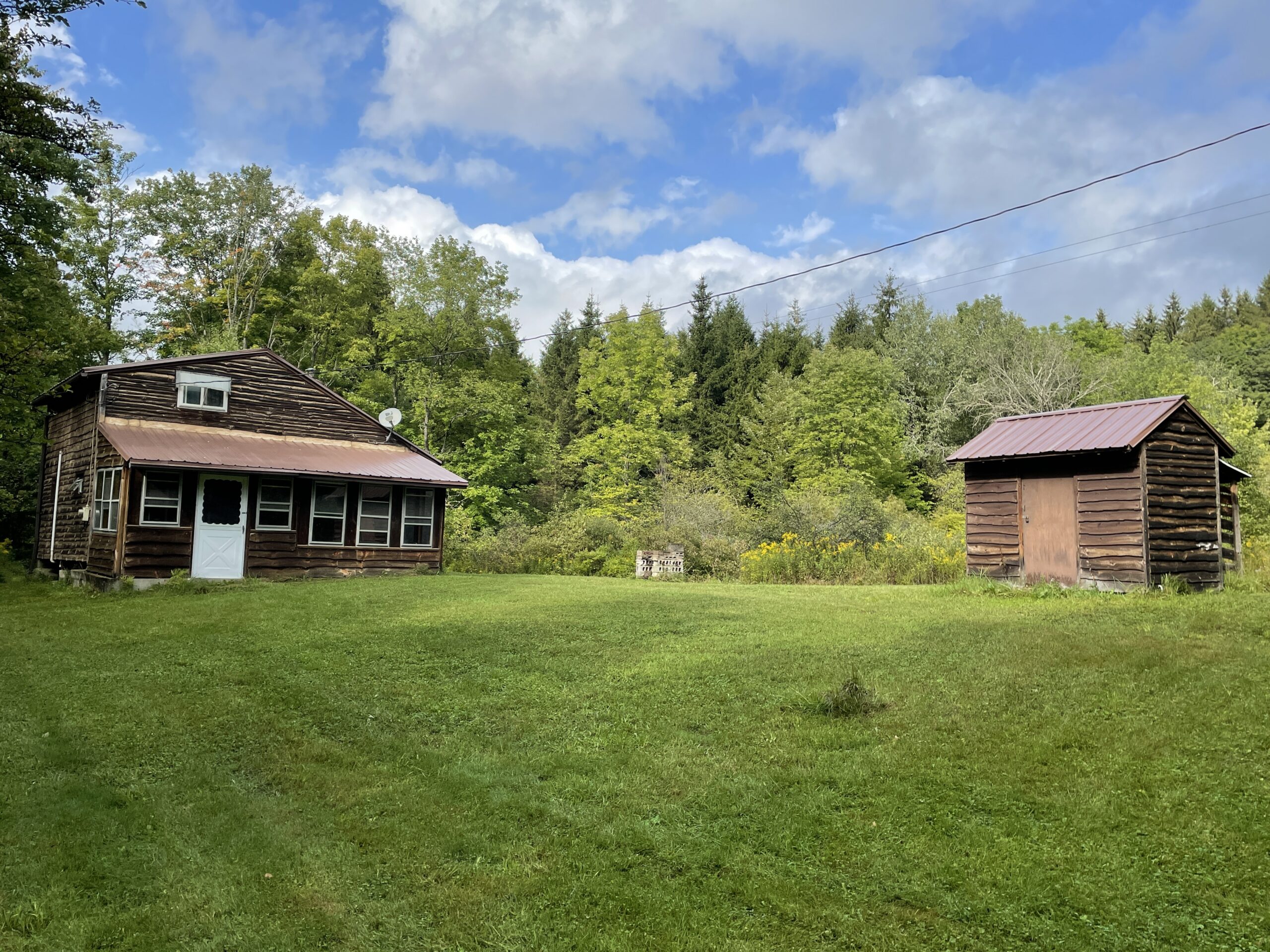 Cabin on 5 acres in Birdsall NY 3346 Old York Drive borders County Land NY LandQuest NY