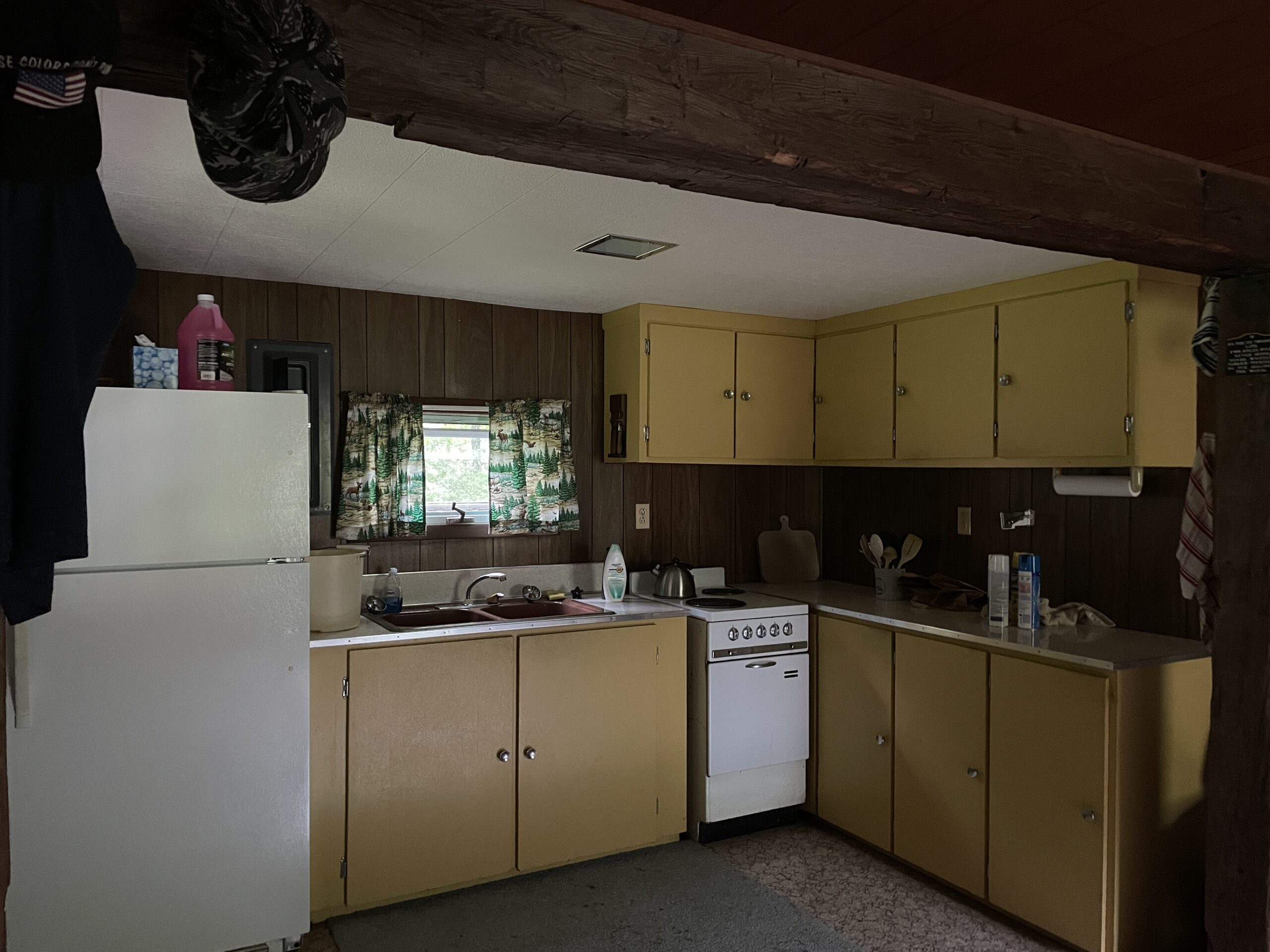 Cabin on 5 acres in Birdsall NY 3346 Old York Drive borders County Land NY LandQuest NY