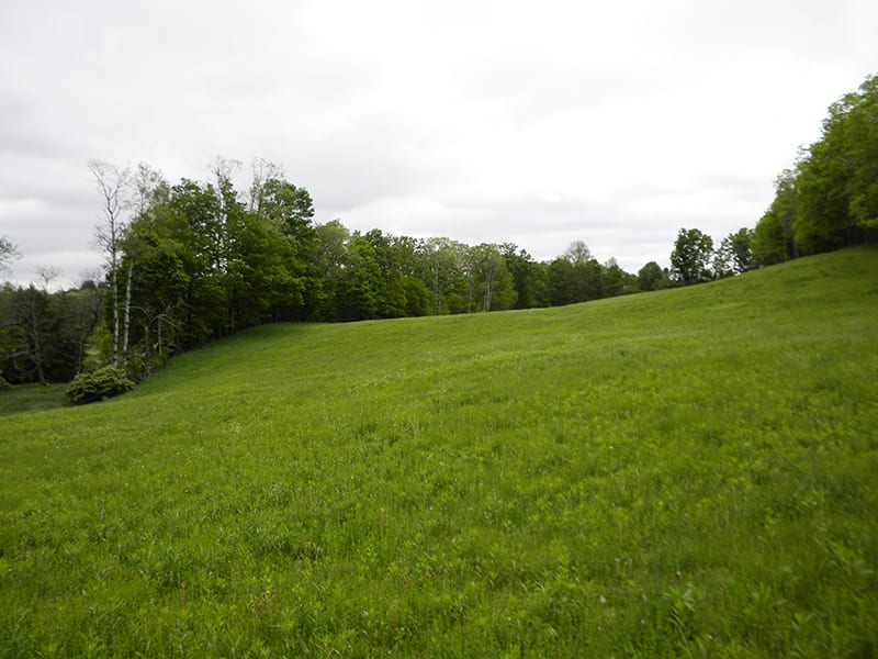Land bordering Trout Stream in Smithville NY NY LandQuest NY LandQuest