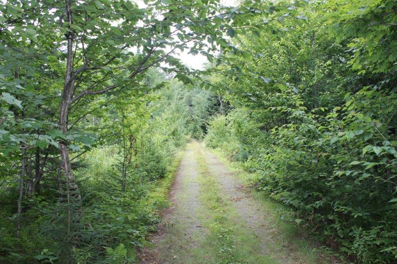 15 Acres Tug Hill Plateau NY LandQuest NY LandQuest