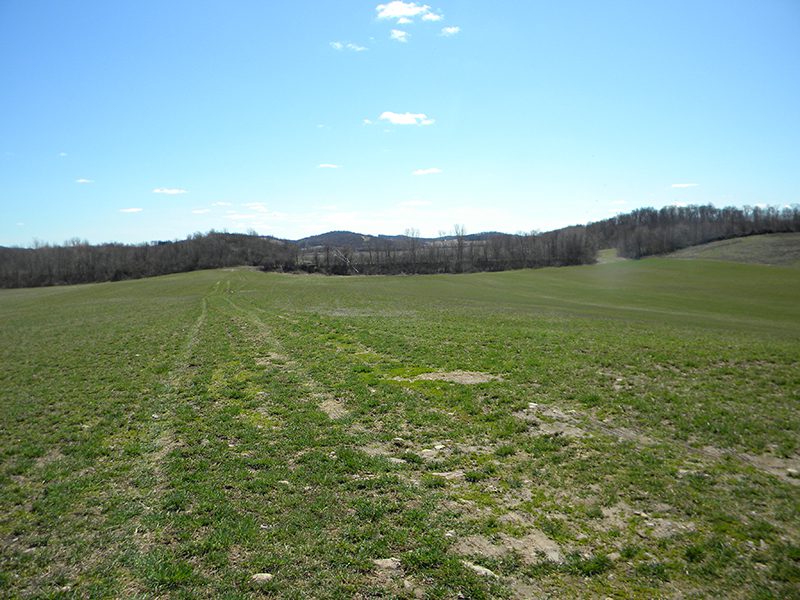 1075.89 Acres for Sale in Cayuga County New York NY LandQuest NY