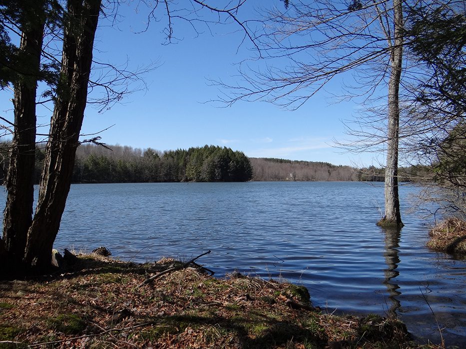 Lakefront Building Lot near Norwich NY Private Lake NY LandQuest NY