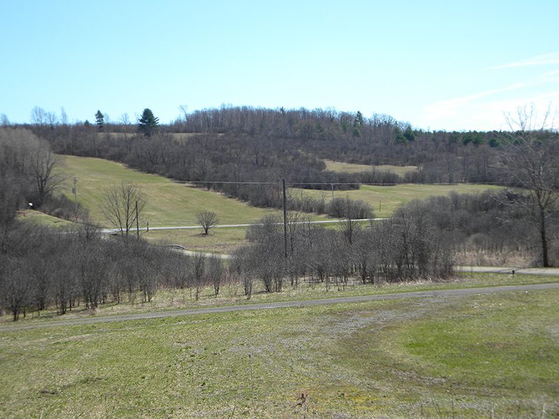125 acres Tillable Farmland in Tyrone NY NY LandQuest NY LandQuest