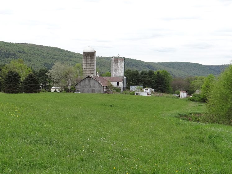 180 Acres Hunting and Recreational Land near Cooperstown NY NY